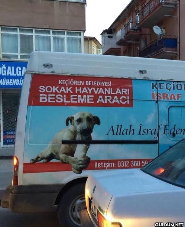 Arabalara fotoğrafım...