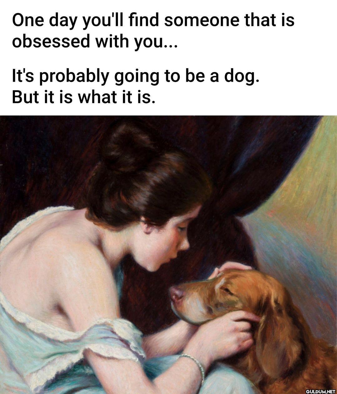 🐶 Tag a dog lover! ⤵️ . . ...