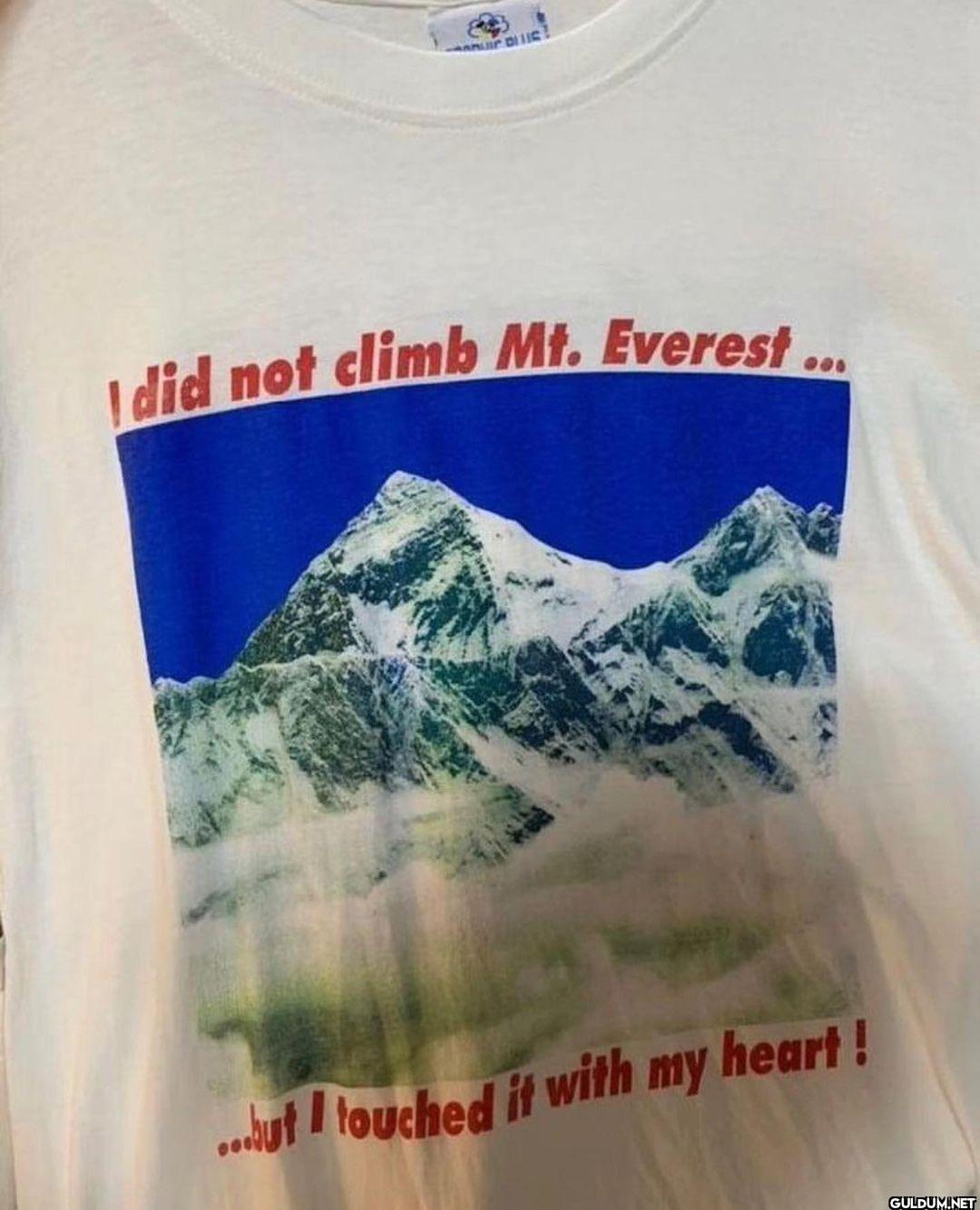 @weirdshirtsok   C DUS!...