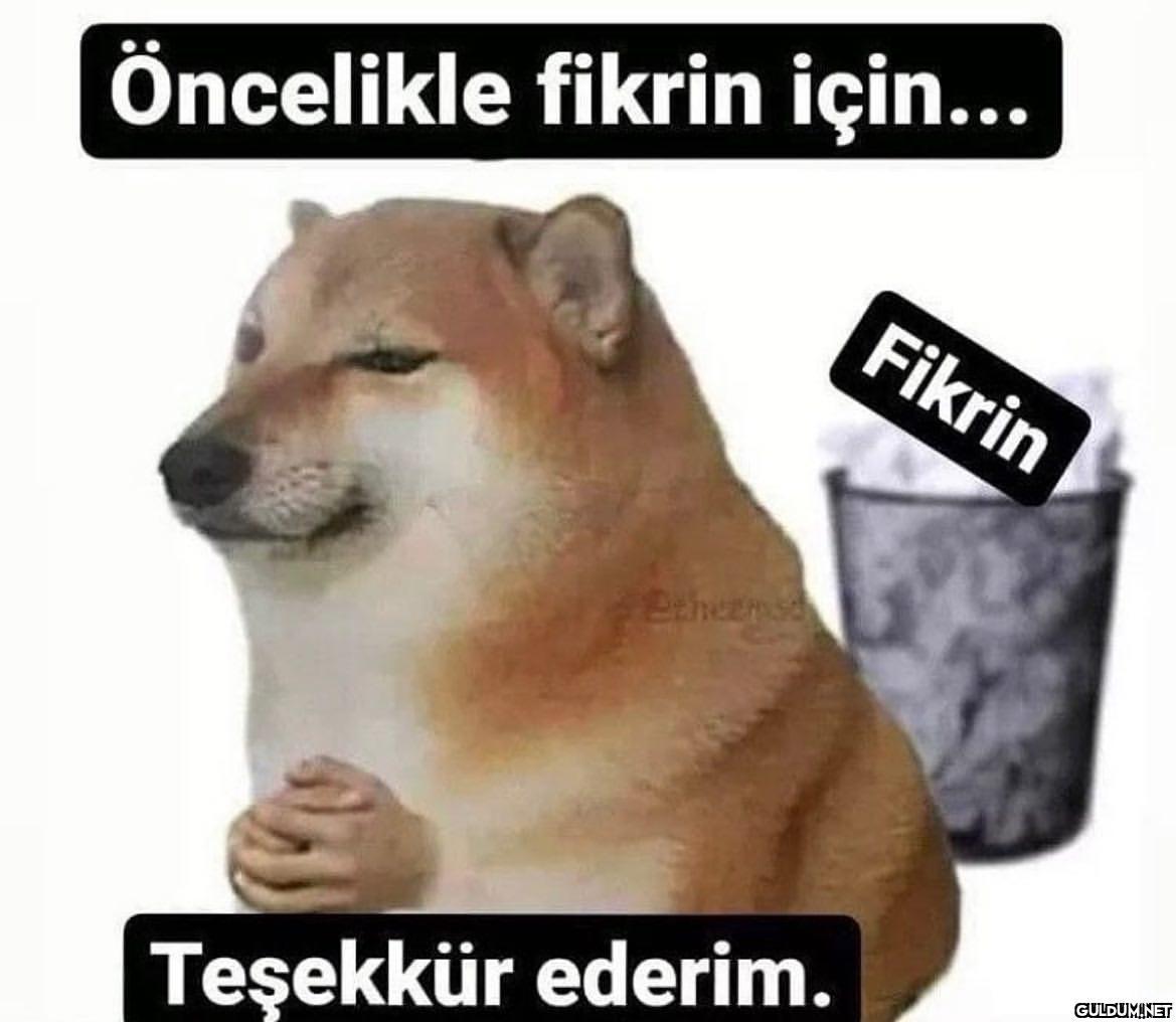 Öncelikle fikrin için...