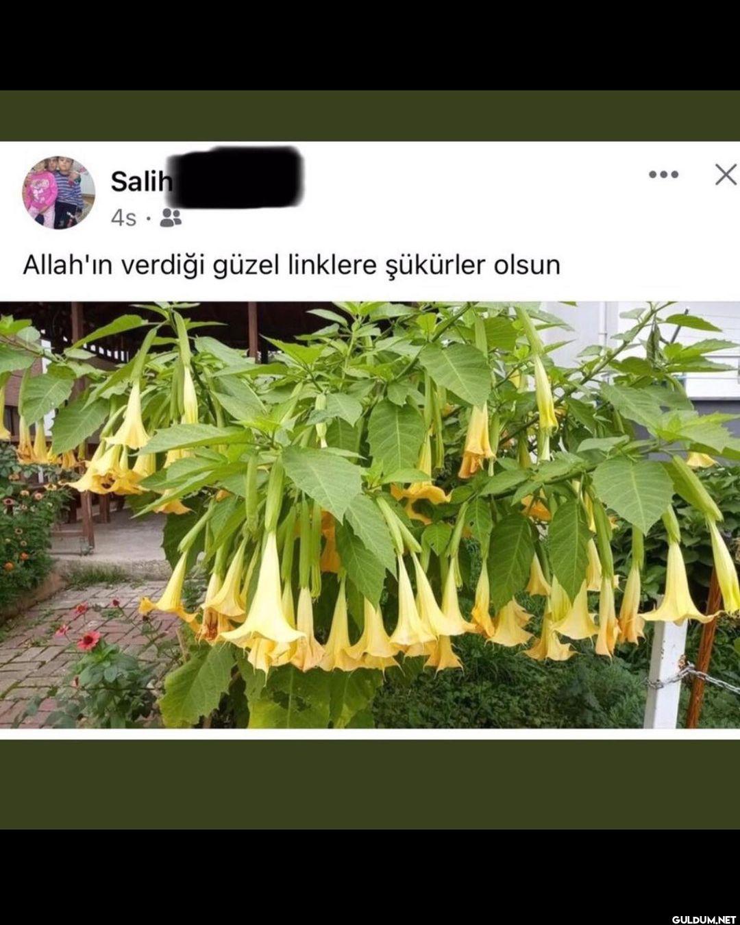 Kaydırmalı 👉   Bıraksanız...