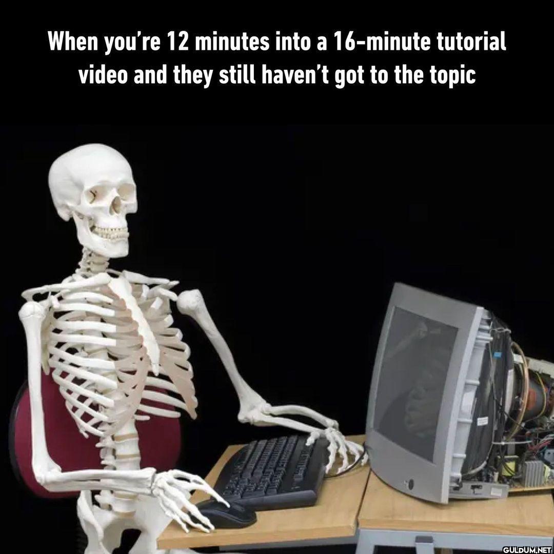 *fast forward*  -...