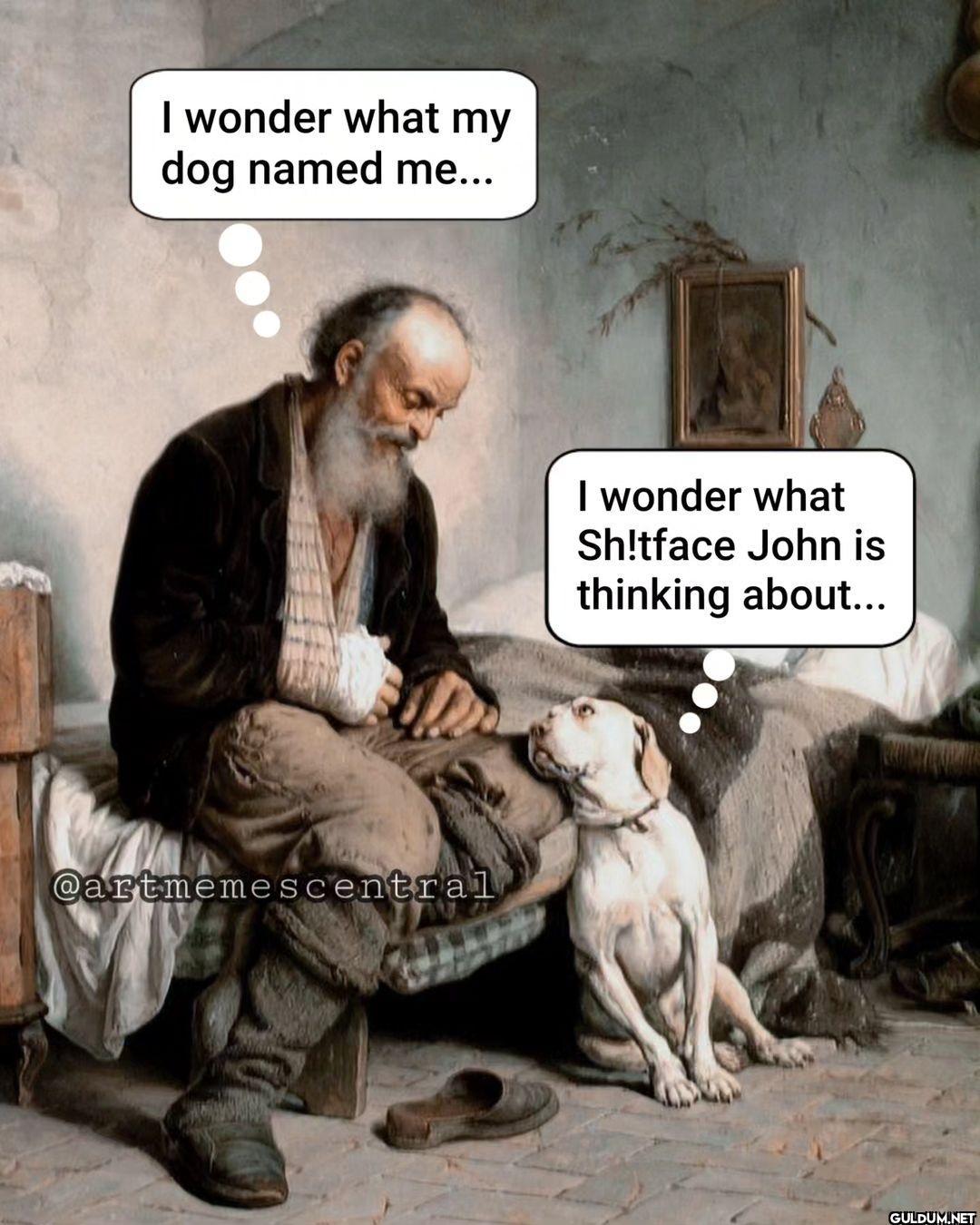 🐶 . . . #nichememes...