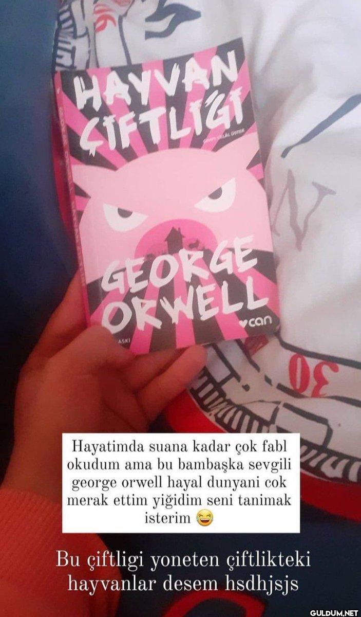 HAYVAN CIFTLIGT GEORGE...