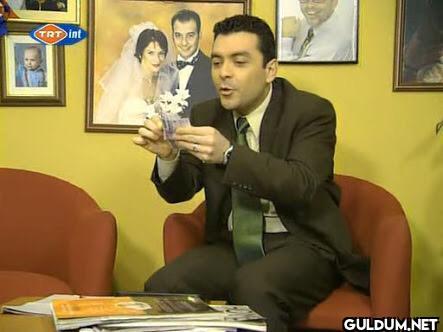 The Wolf of the wall...