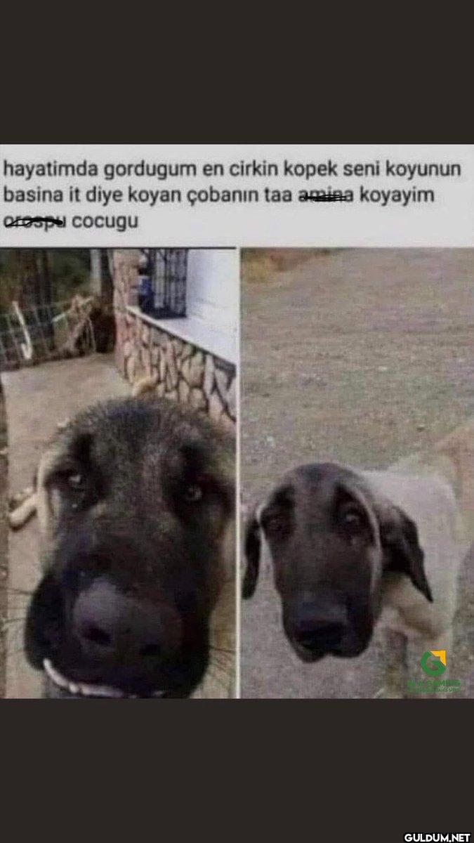 hayatimda gordugum en...