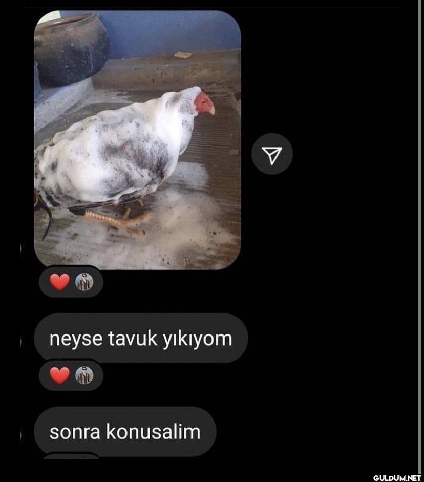 neyse tavuk yıkıyom sonra...