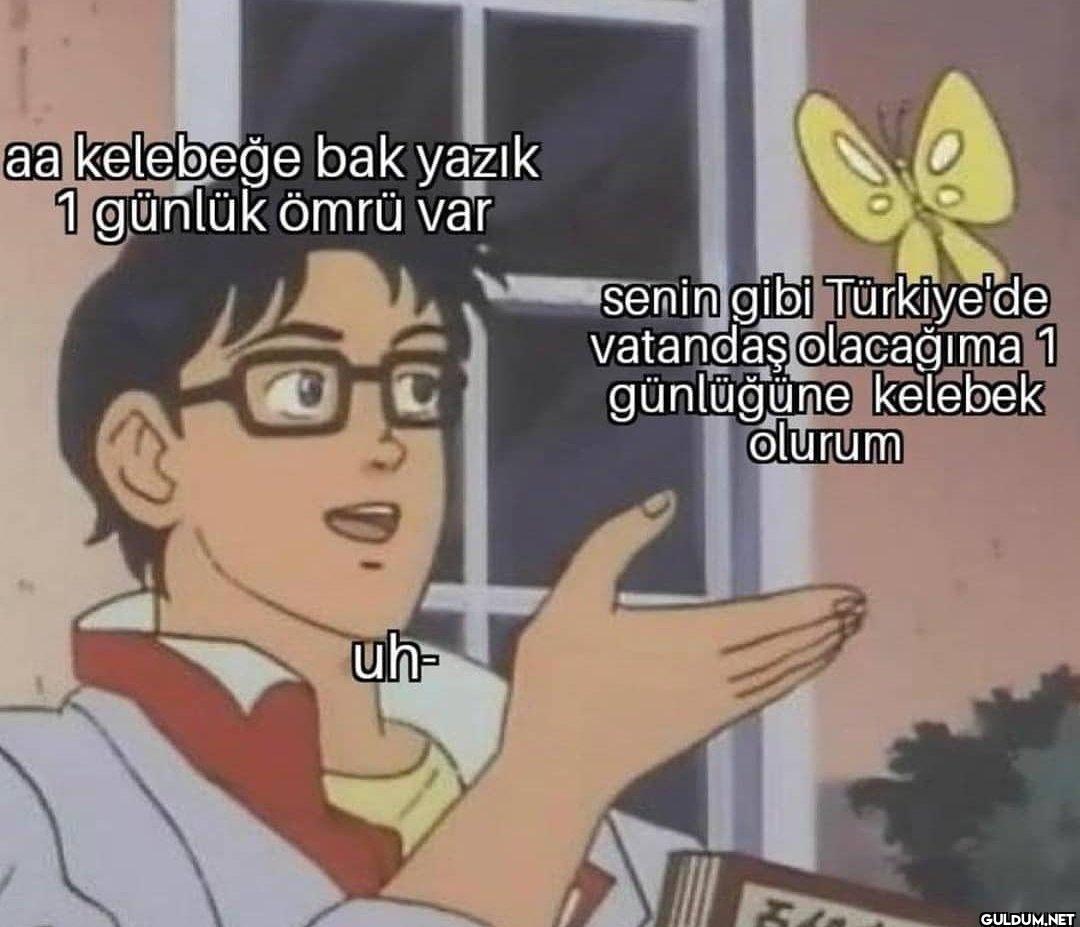 aa kelebeğe bak yazık 1...