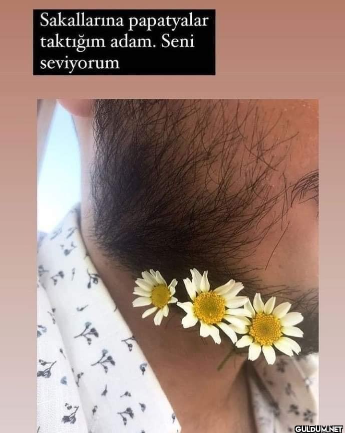 Sakallarına papatyalar...