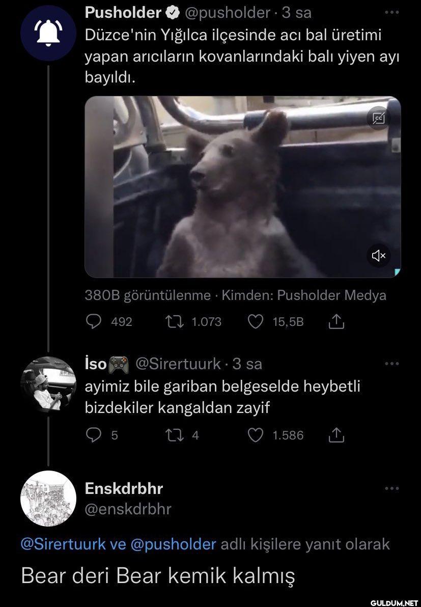 Pusholder @pusholder 3 sa...