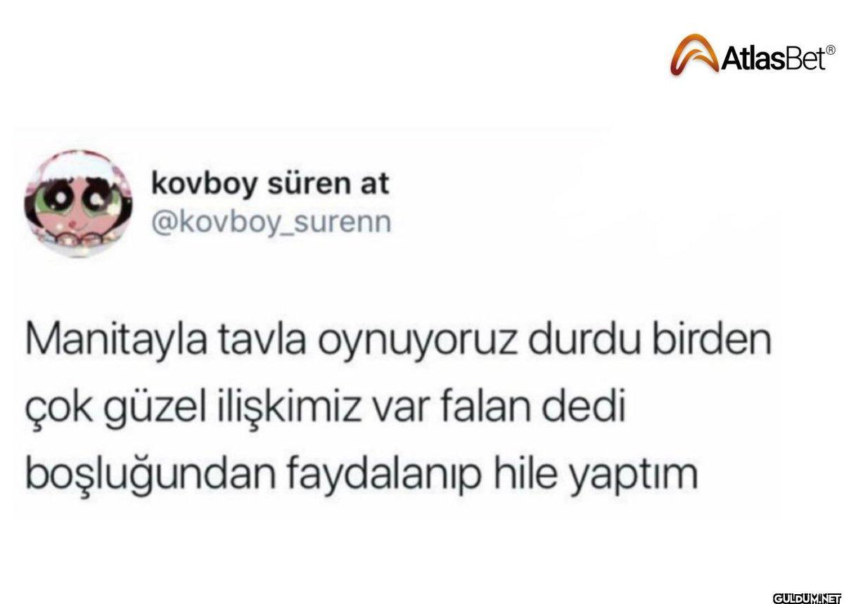 kovboy süren at...
