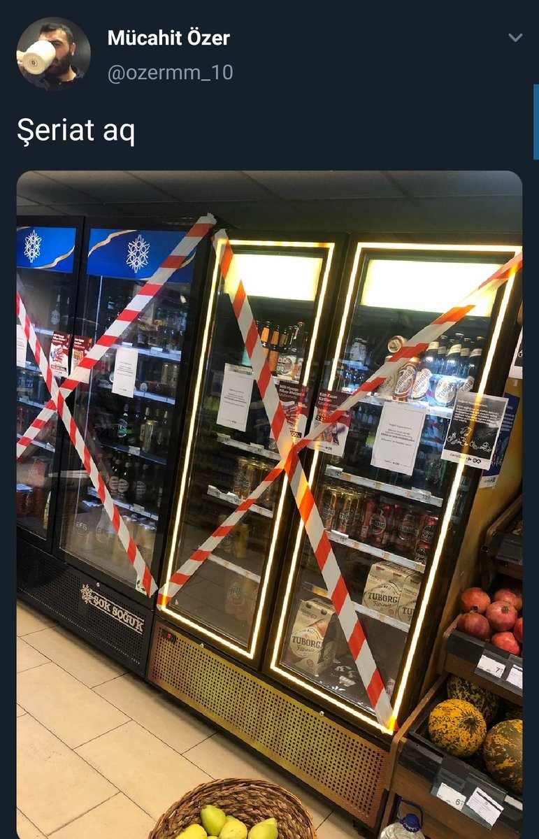 araplar: yallah türkiyeye ...