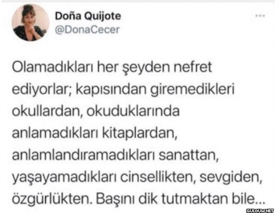 Doña Quijote @DonaCecer...