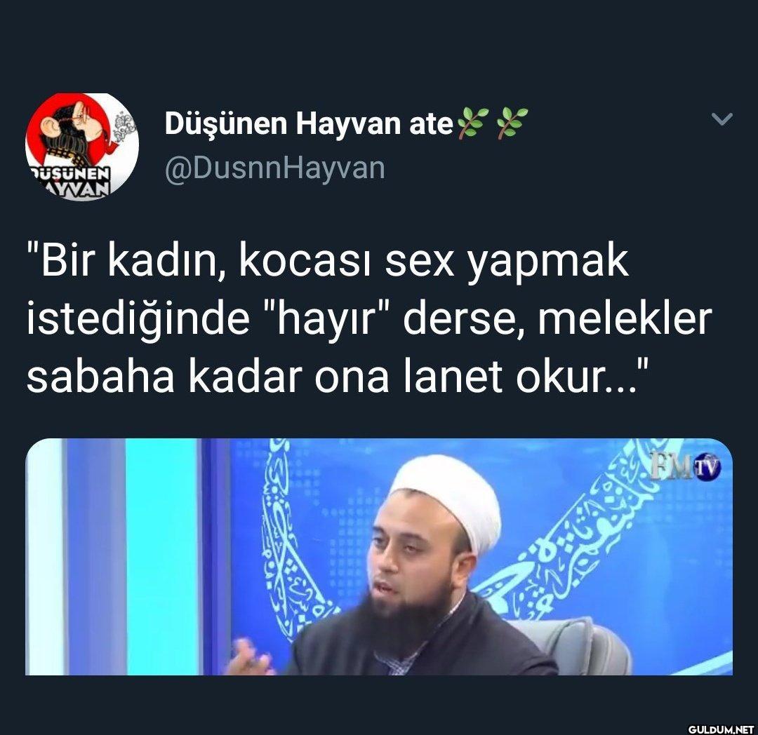 USUNEN AYVAN Düşünen...
