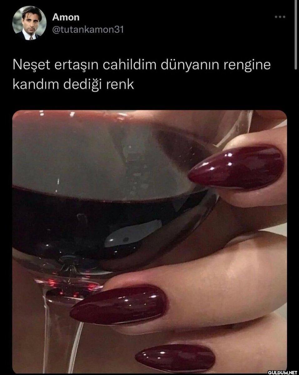 Amon @tutankamon31 Neşet...