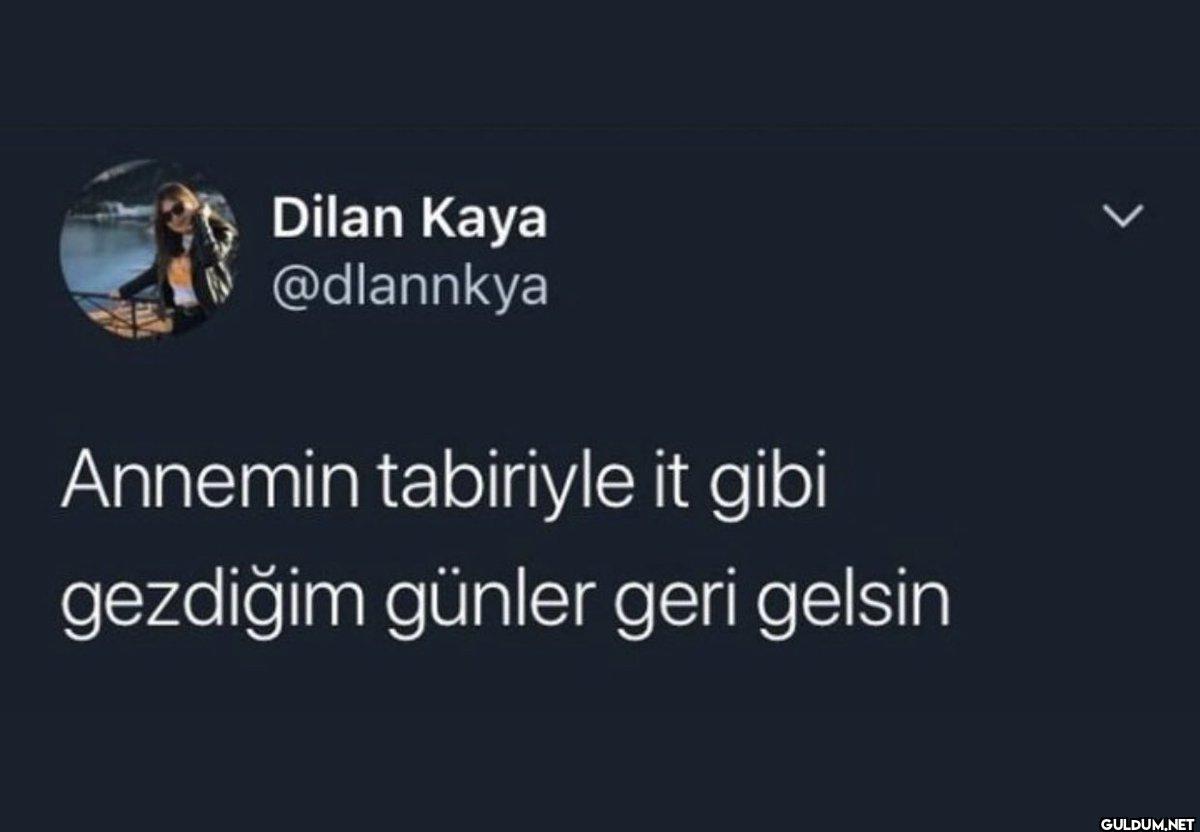 Dilan Kaya @dlannkya...