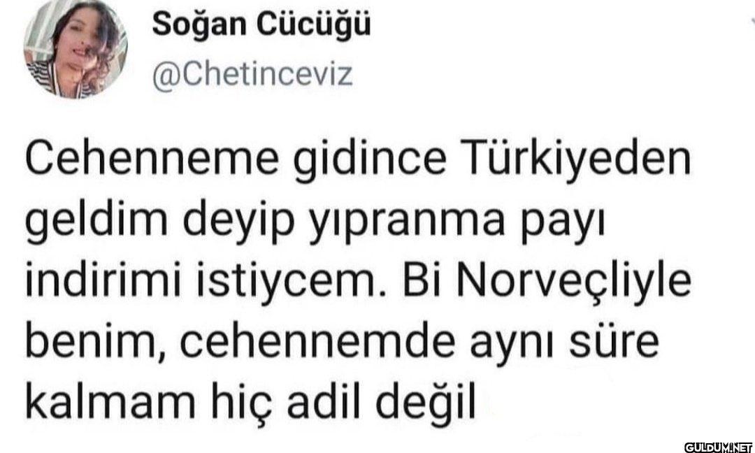 Soğan Cücüğü @Chetinceviz...