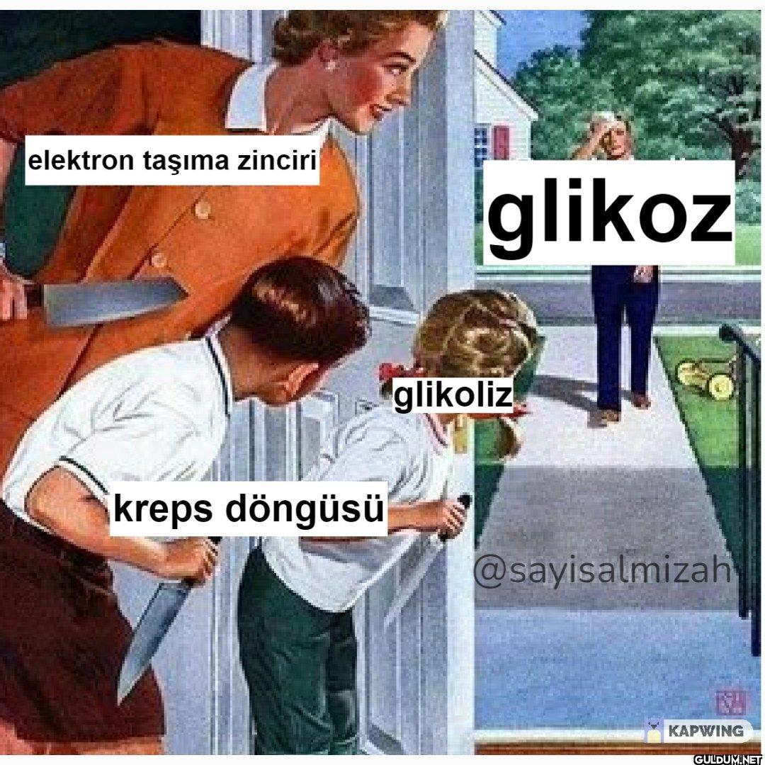elektron taşıma zinciri...