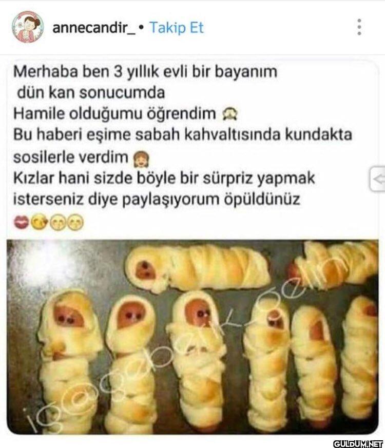 annecandir Takip Et...