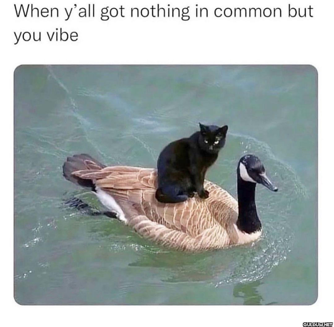 @someones.therapist   When...
