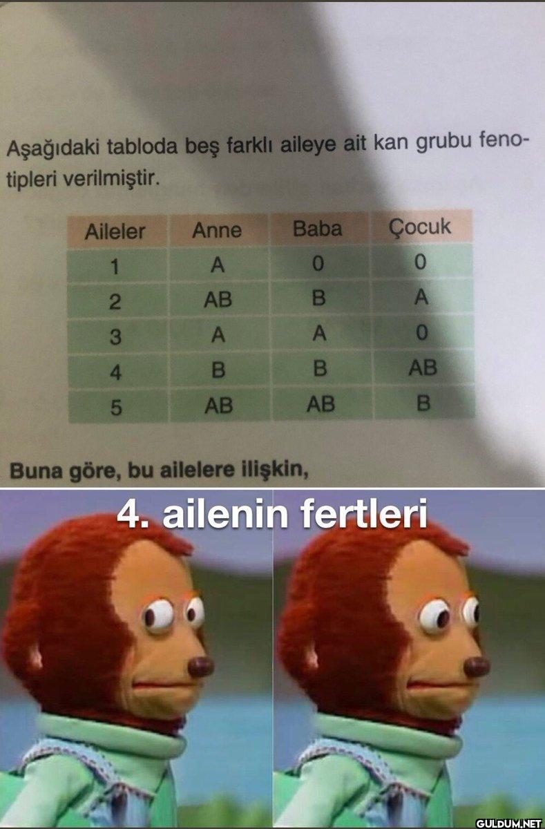 Aşağıdaki tabloda beş...