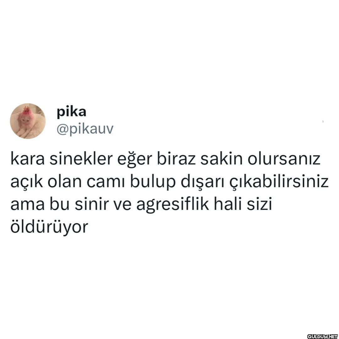 pika @pikauv kara sinekler...