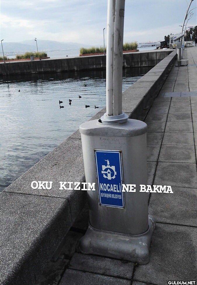 Y Kofe OKU KIZIM KOCAELI...