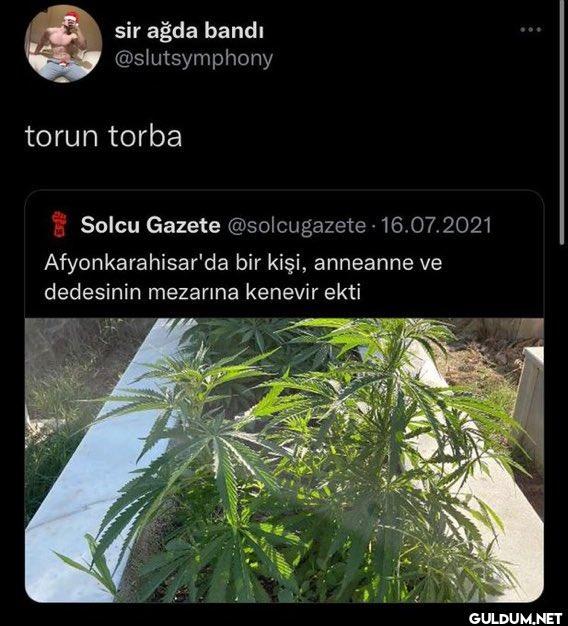 sir ağda bandı...