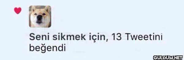 Seni sikmek için, 13...