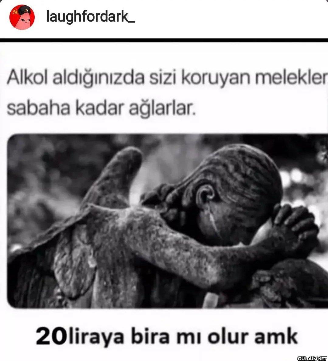 ( laughfordark_ Alkol...