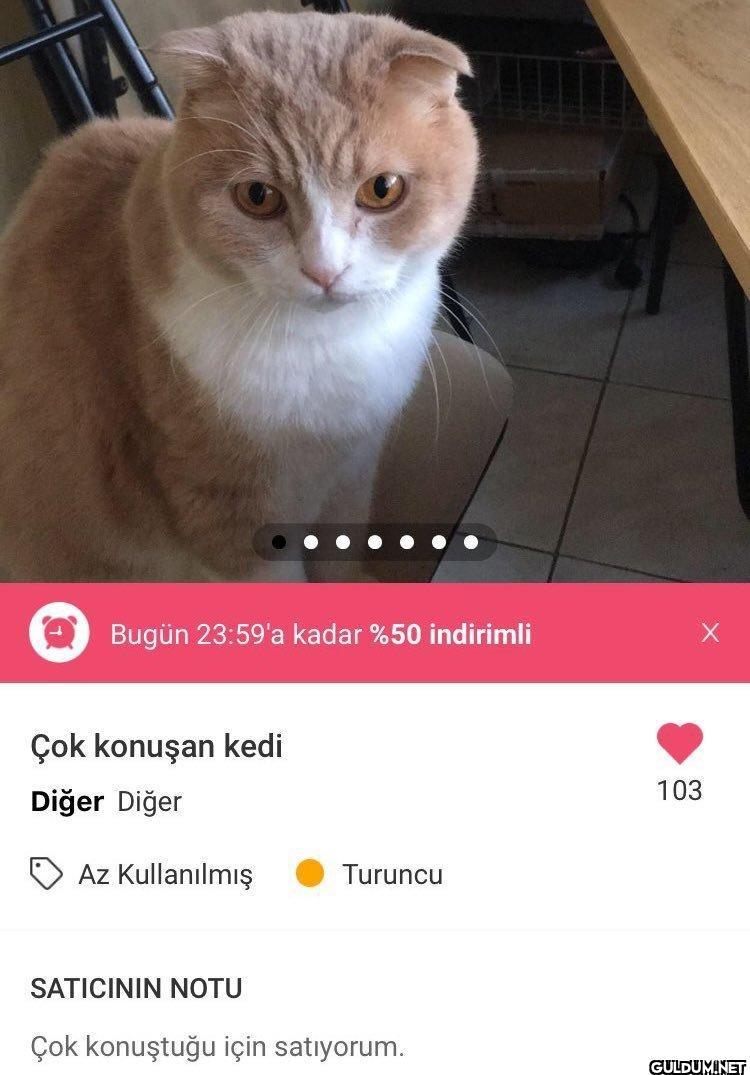 211- Çok konuştuğu için...