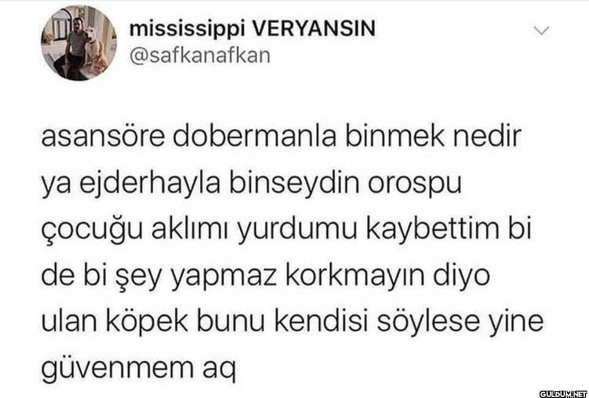 mississippi VERYANSIN...