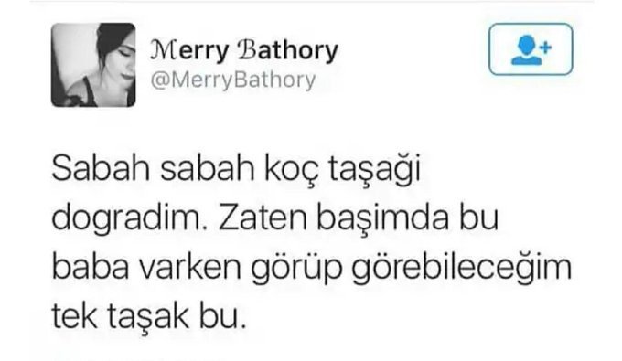 İyi bayramlar     Merry...