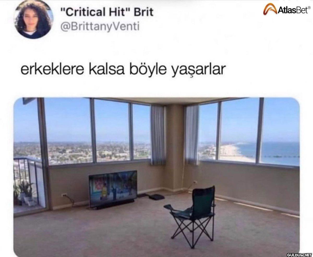 "Critical Hit" Brit...