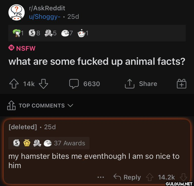 ? r/AskReddit u/Shoggy-...