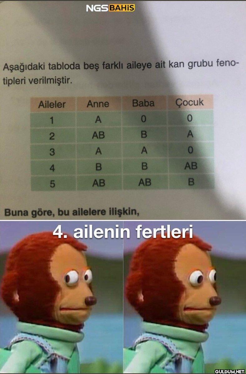 NGSBAHIS Aşağıdaki tabloda...