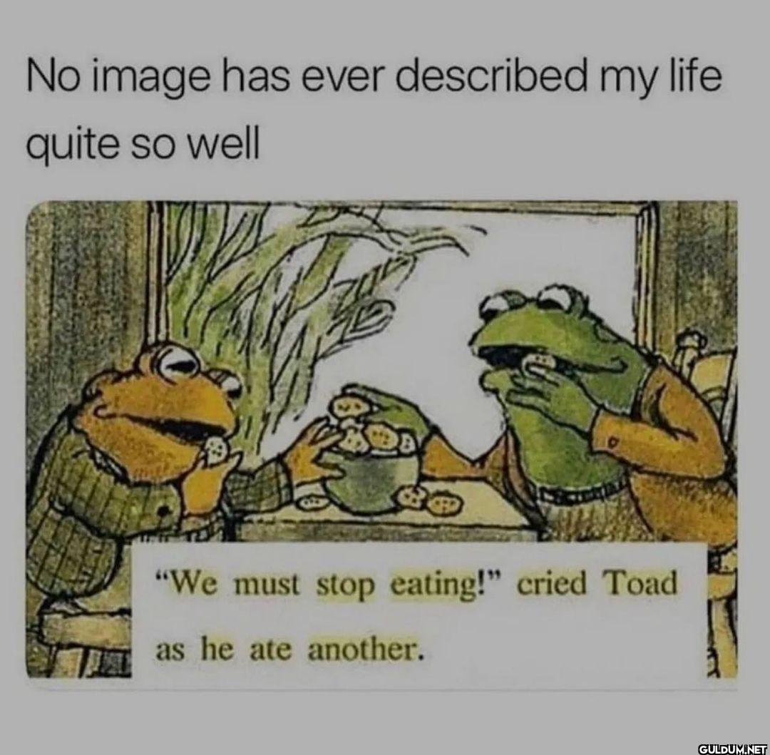 @therapyshirts   No image...