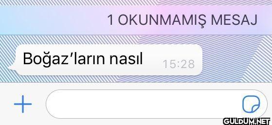 İngiltere Osmanlı ile...