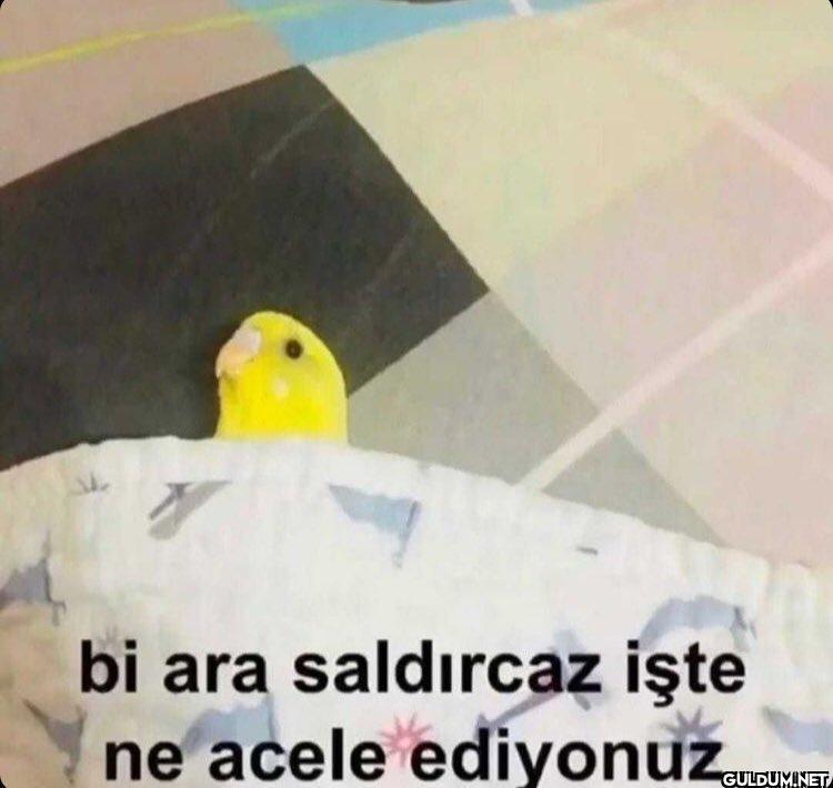 bi ara saldırcaz işte ne...