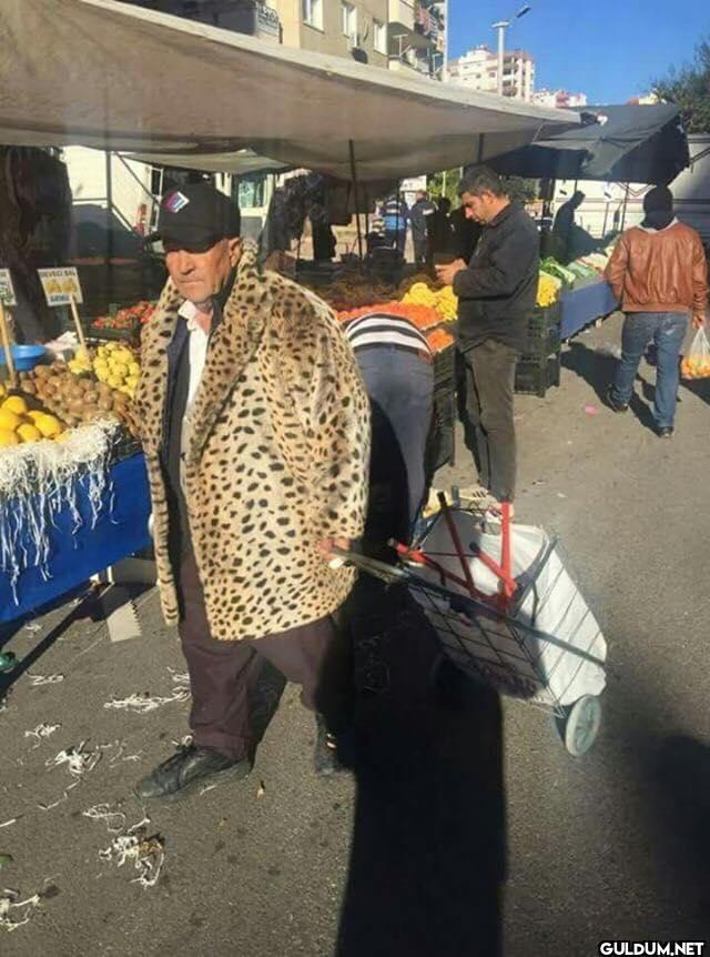Macklemore's new Thrift...