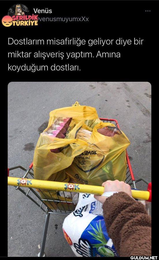 Venüs GERILDIK...