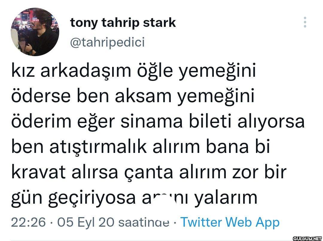 tony tahrip stark...