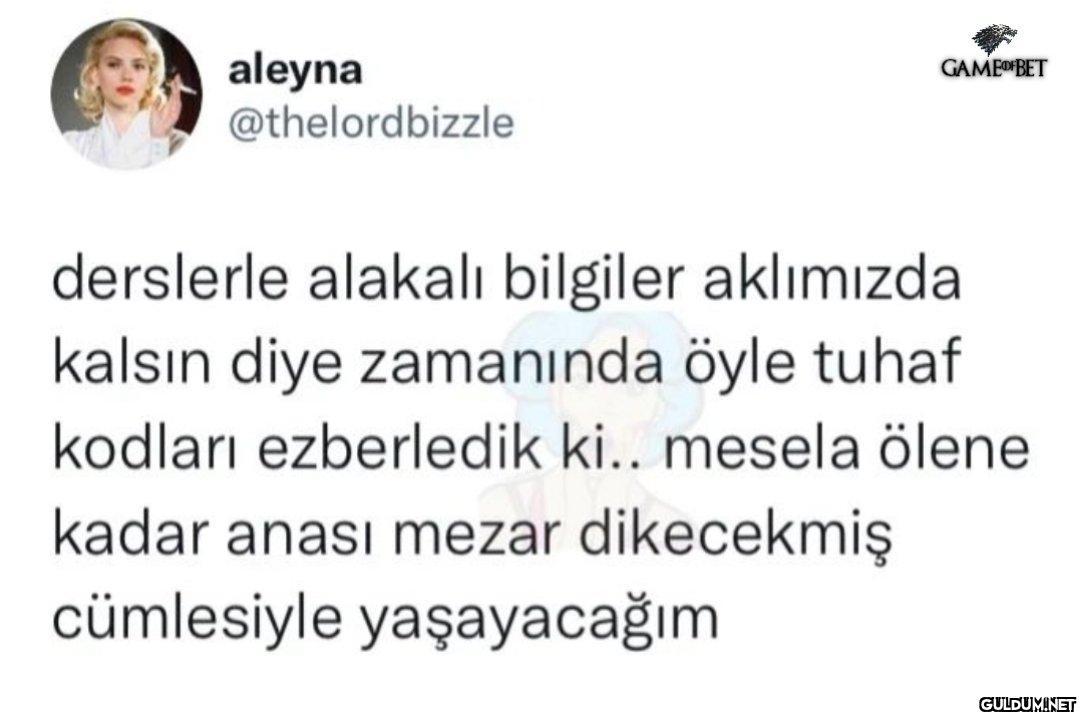 Kodları yazma etkinliği...
