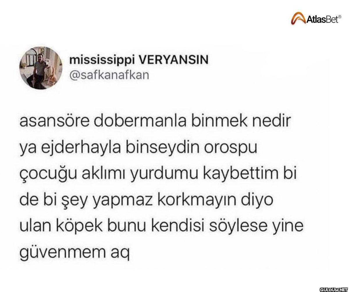 mississippi VERYANSIN...