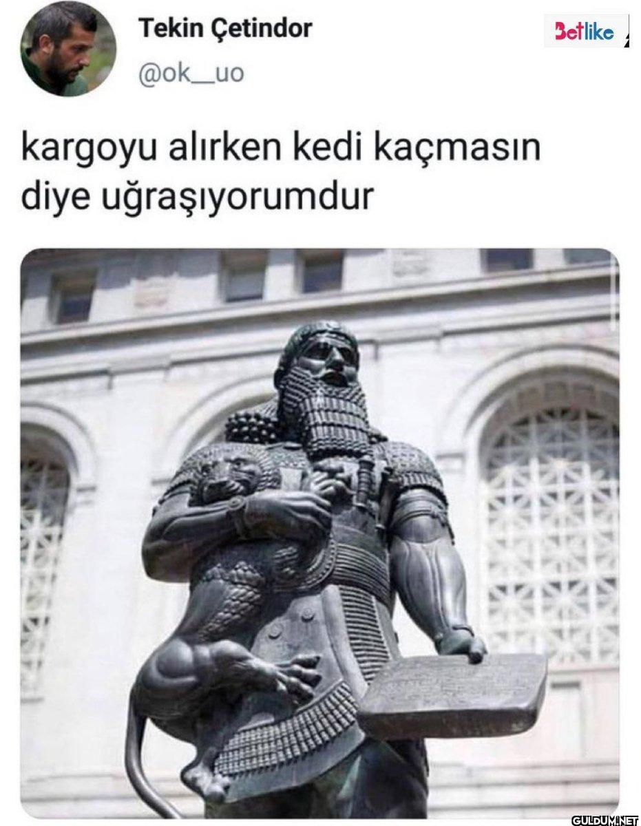 Tekin Çetindor @ok_uo...