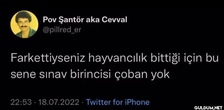 Pov Şantör aka Cevval...