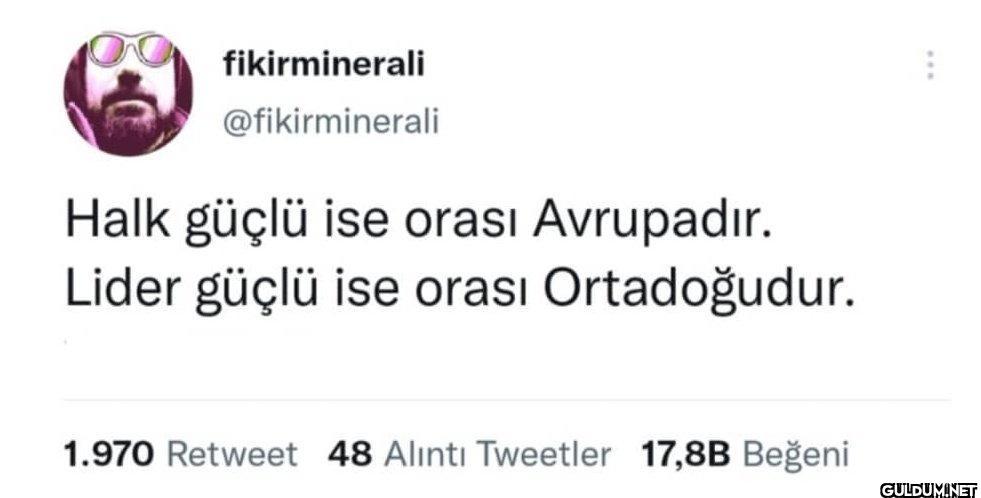 fikirminerali...