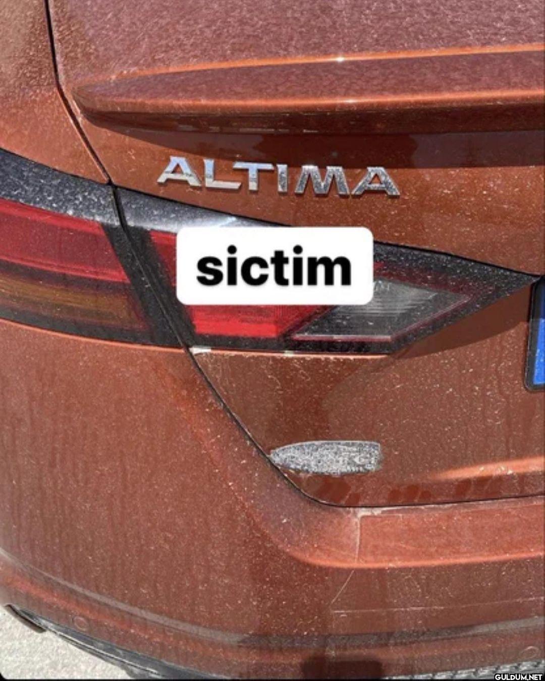 Arkadaş Terörü...