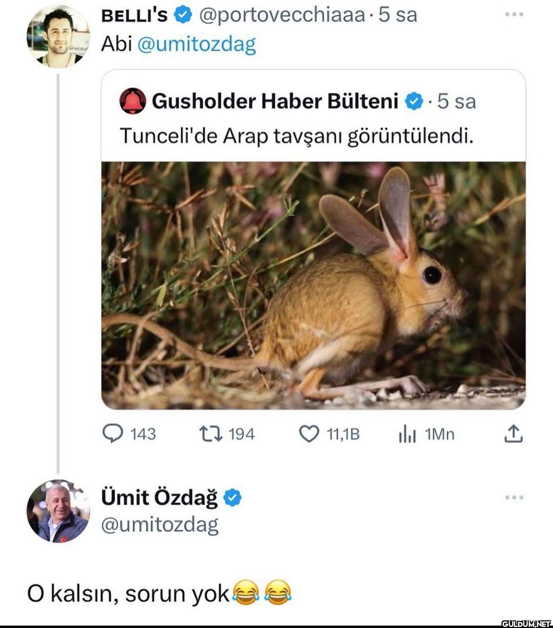 Sjejsjwjsjsmsnd   BELLI'S...