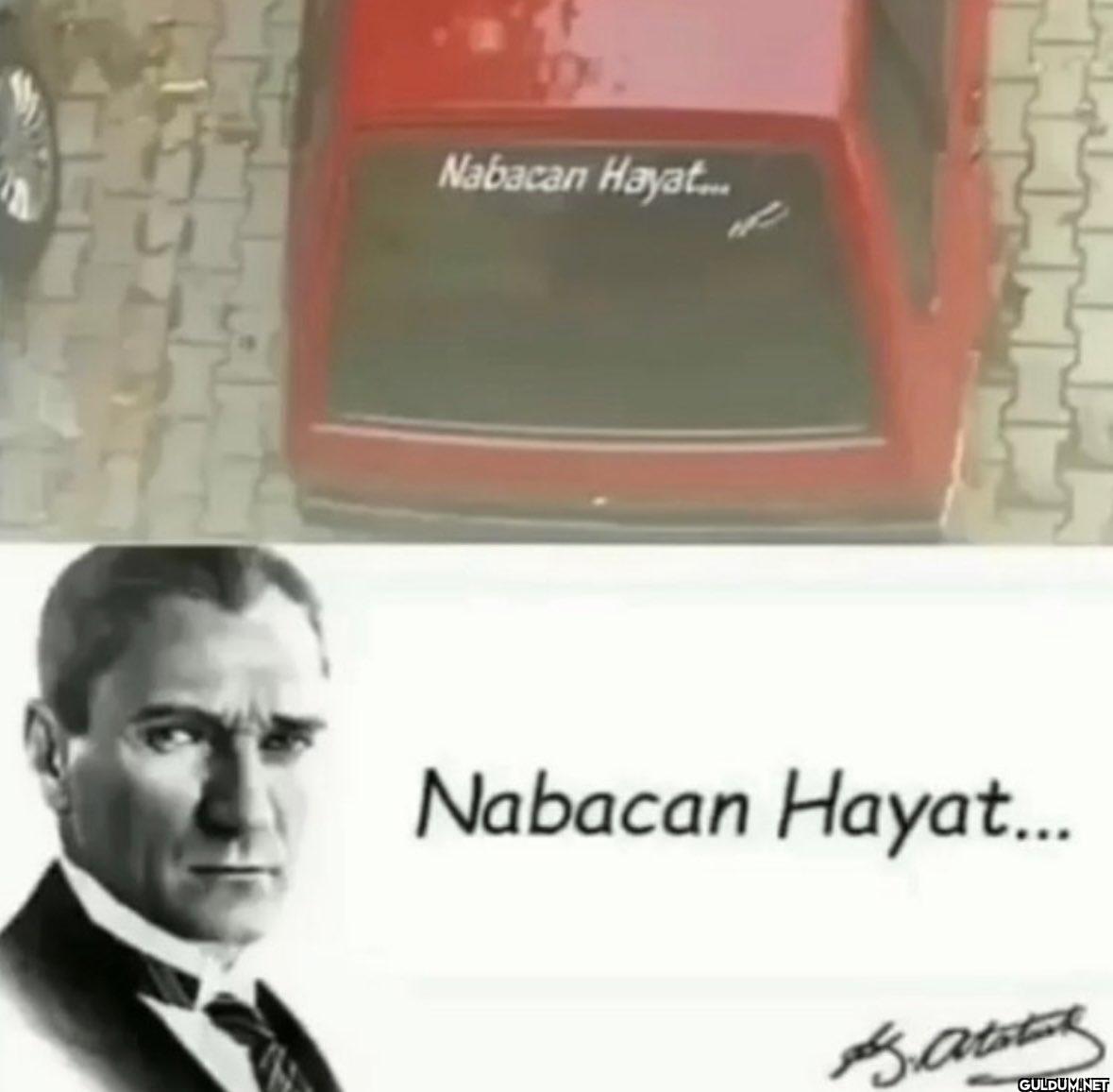 Nabacan Hayat... Nabacan...